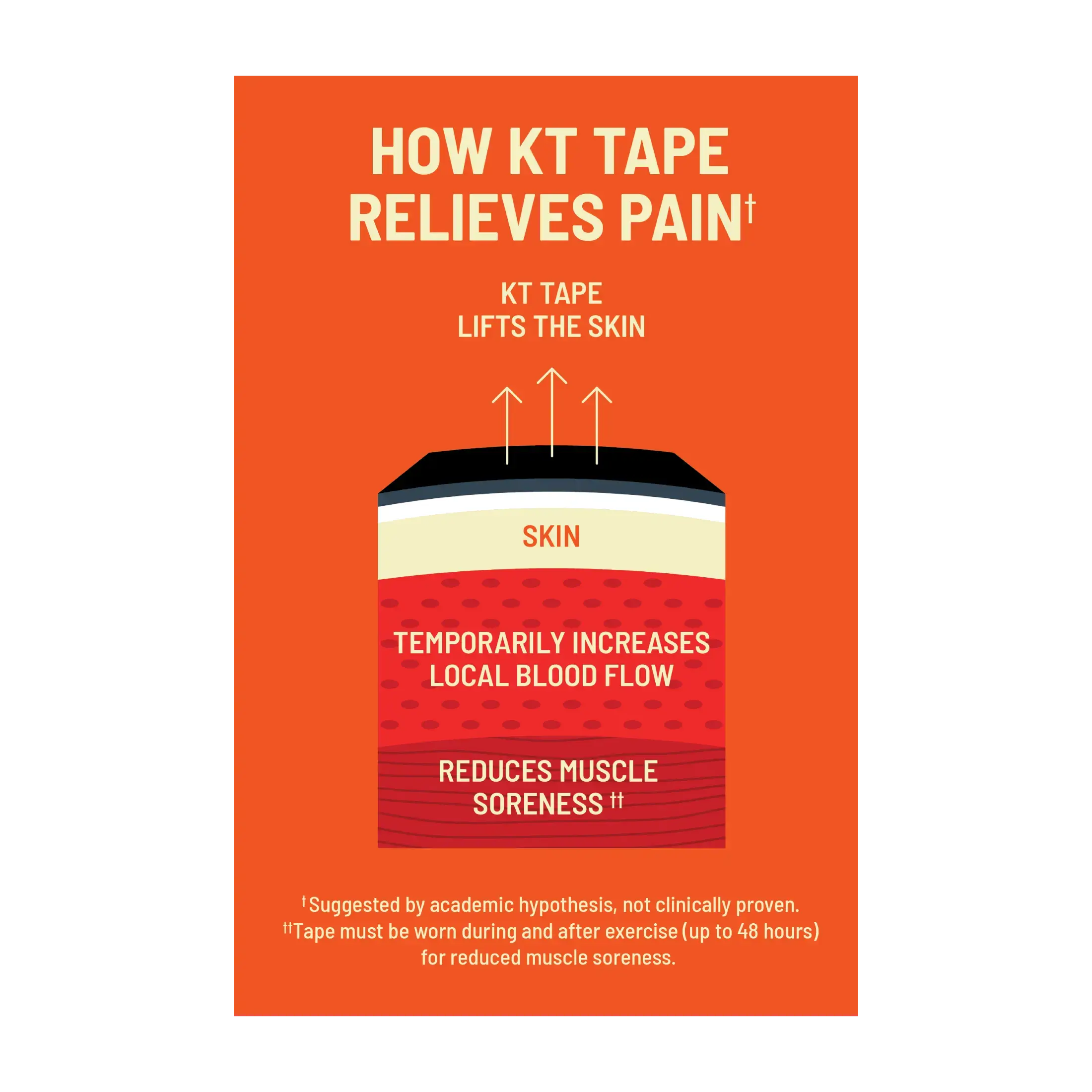 Infographic showing how kinesiology tape lifts the skin to temporarily increase local blood flow and reduce muscle soreness.